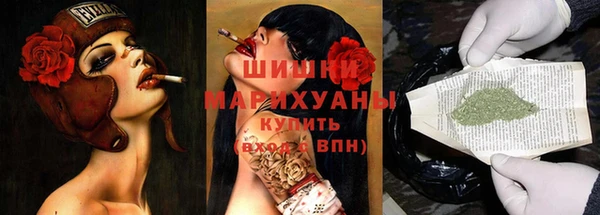 винт Алзамай
