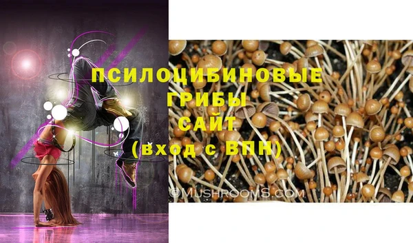 молекула духа Алексин