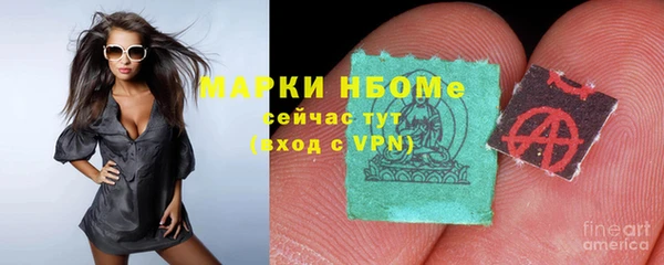 винт Алзамай