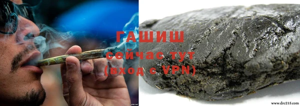 молекула духа Алексин